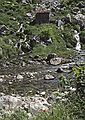 July 6, 1990 - Hike in the Garganta del Cares (Cares River Gorge), Leon, Spain.<br />The Cares River.