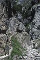 July 6, 1990 - Hike in the Garganta del Cares (Cares River Gorge), Leon, Spain.<br />We shared the trail with goats.