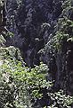 July 6, 1990 - Hike in the Garganta del Cares (Cares River Gorge), Leon, Spain.