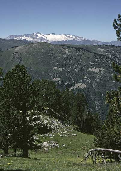 July 12, 1990 - Hike near Salsrdu, Lerida, Spain.<br />Another view of the  Maladeta massif on the horizon.