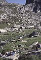 July 13, 1990 - Hike into lakes region south of Salardu, Lerida, Spain.<br />Ronnie and Baiba relax while Joyce and Melody climb to a snowfield somewhere in this photo.