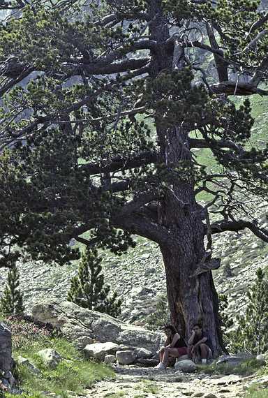 July 14, 1990 - Parque Nacional de Aiges Tortes, Lerida, Spain.<br />Melody and Julian waiting for the old folks to catch up.