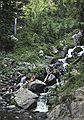 July 14, 1990 - Parque Nacional de Aiges Tortes, Lerida, Spain.<br />Julian and Melody waiting for the old folks even on the way down.