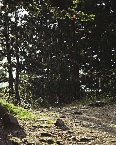 July 14, 1990 - Parque Nacional de Aiges Tortes, Lerida, Spain.<br />A brief shower cought us just before we got back to the cars.