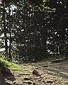 July 14, 1990 - Parque Nacional de Aiges Tortes, Lerida, Spain.<br />A brief shower cought us just before we got back to the cars.