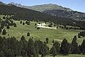 July 16, 1990 - Hike from the Baqueira/Beret area to Santuario de Montgarri, Lerida, Spain.<br />A flock of sheep.
