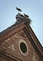 July 17, 1990 - Alcala de Henares, Comunidad de Madrid, Spain.<br />Storks.