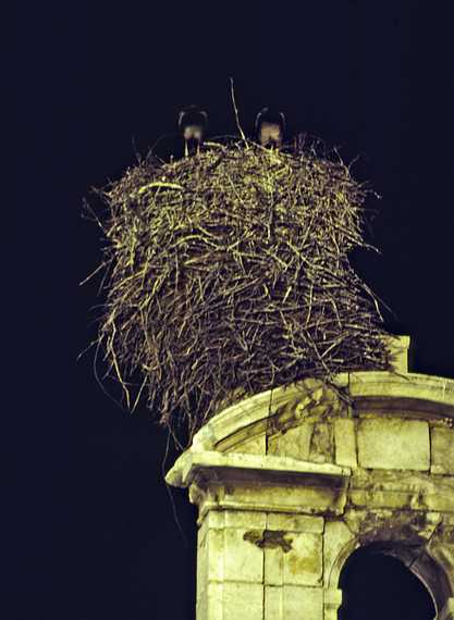July 17, 1990 - Alcala de Henares, Comunidad de Madrid, Spain.<br />A high rise stork nest.