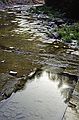 August 25, 1991 - Taughannock Falls, Ulysses, New York.