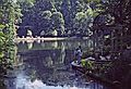 August 12, 1992 - Longwood Gardens, Kennett Square, Pennsylvania.