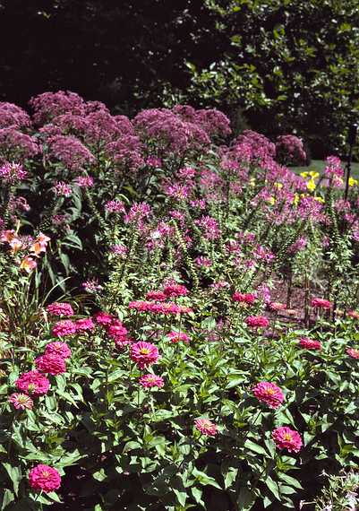 August 12, 1992 - Longwood Gardens, Kennett Square, Pennsylvania.