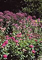 August 12, 1992 - Longwood Gardens, Kennett Square, Pennsylvania.