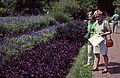 August 12, 1992 - Longwood Gardens, Kennett Square, Pennsylvania.<br />Joyce and Baiba.