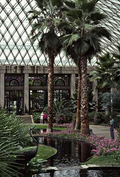 August 12, 1992 - Longwood Gardens, Kennett Square, Pennsylvania.<br />Ronnie in the Conservatory.