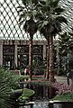 August 12, 1992 - Longwood Gardens, Kennett Square, Pennsylvania.<br />Ronnie in the Conservatory.