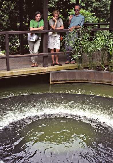 August 12, 1992 - Longwood Gardens, Kennett Square, Pennsylvania.<br />Joyce, Baiba, and Ronnie watching a water upswell.