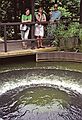 August 12, 1992 - Longwood Gardens, Kennett Square, Pennsylvania.<br />Joyce, Baiba, and Ronnie watching a water upswell.