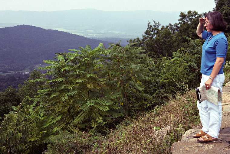 August 18, 1992 - Skyline Drive, Shenandoah National Park, Virginia.<br />Joyce.