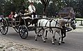 August 20, 1992 - Colonial Williamsburg, Virginia.