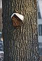 Feb. 1993 - Merrimac, Massachusetts.<br />Around the house after several snowstorms.<br />Bird house build by Uldis and Laila.