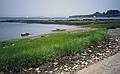 July 10, 1993 - Cliff Island, Casco Bay, Maine.