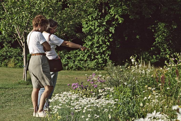 July 26, 1993 - Acadia National Park, Mount Desert Island, Maine.<br />Baiba and Joyce admiring the flowers.