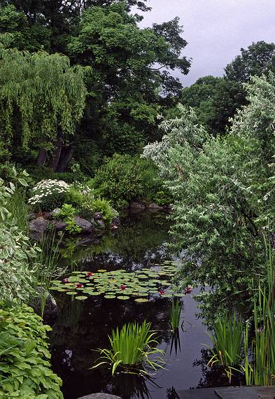 July 28, 1993 - Annapolis Royal Historic Gardens, Nova Scotia, Canada.