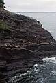 July 29, 1993 - Ovens Natural Park, Riverport, Nova Scotia, Canada.<br />Layered rocks just ouside one of the sea caves or "ovens".