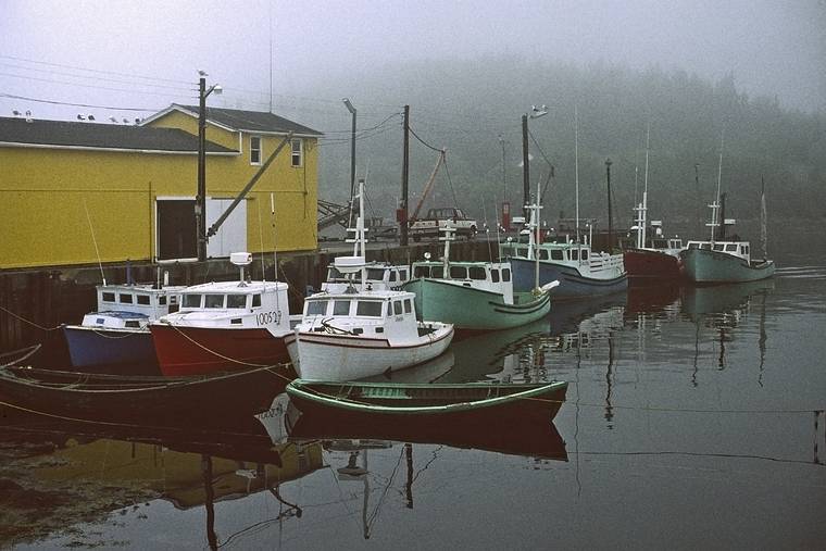 July 30, 1993 - Between Chester and Peggy's Cove, Nova Scotia, Canada.