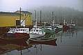 July 30, 1993 - Between Chester and Peggy's Cove, Nova Scotia, Canada.