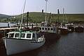 August 1, 1993 - Bay St. Lawrence, Cape Breton Island, Nova Scotia.