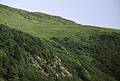 August 1, 1993 - Along the Cabot Trail, Cape Breton Island, Nova Scotia, Canada.<br />From this vista point, we could see and eagle, a bear with two cubs, and whates.<br />That black spot in the meadow is the bear.