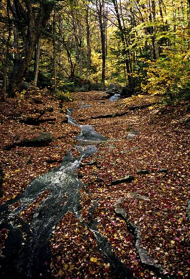 Oct. 10, 1993 - Mount Cardigan, Orange/Alexandria, New Hampshire.<br />Along Holt Trail?