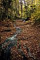 Oct. 10, 1993 - Mount Cardigan, Orange/Alexandria, New Hampshire.<br />Along Holt Trail?
