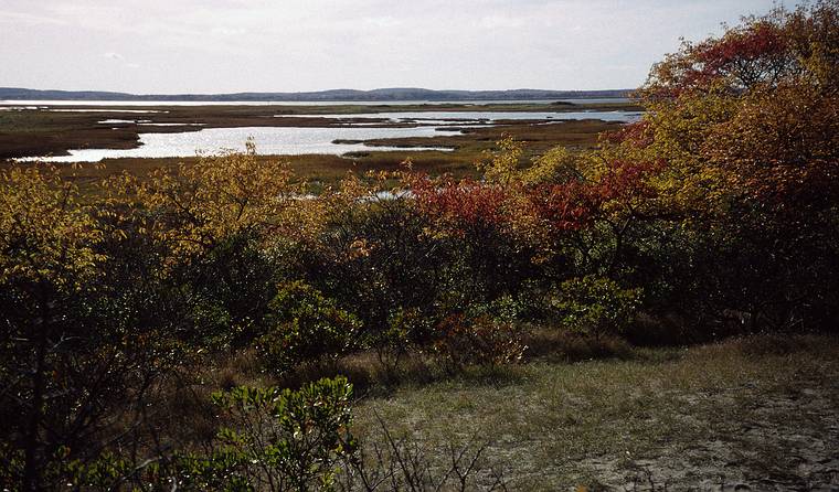 Oct. 23, 1993 - Parker River National Wildlife Refuge, Plum Island, Massachusetts.