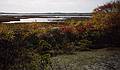 Oct. 23, 1993 - Parker River National Wildlife Refuge, Plum Island, Massachusetts.
