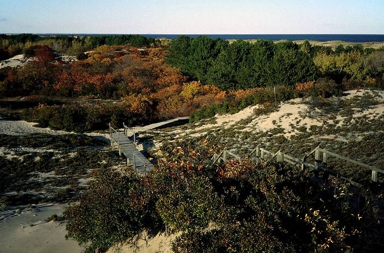 Oct. 23, 1993 - Parker River National Wildlife Refuge, Plum Island, Massachusetts.