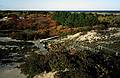 Oct. 23, 1993 - Parker River National Wildlife Refuge, Plum Island, Massachusetts.