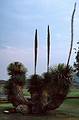 June 6, 1994 - Teotihuacn, Mexico.