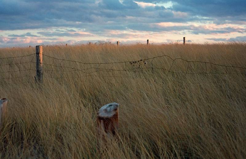 Nov. 26, 1994 - Drakes Island, Wells, Maine.