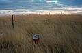 Nov. 26, 1994 - Drakes Island, Wells, Maine.