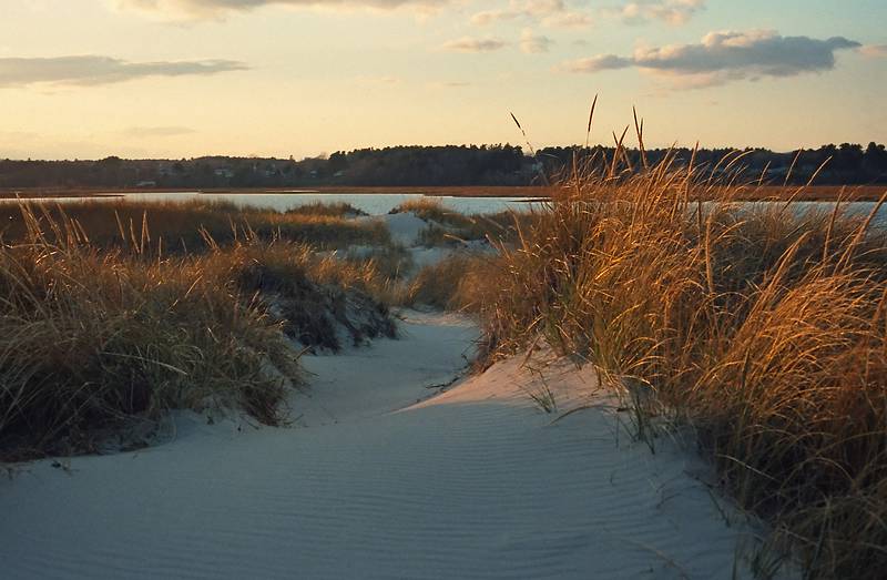 Nov. 26, 1994 - Drakes Island, Wells, Maine.