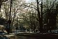 Feb. 28, 1995 - Merrimac, Massachusetts.<br />A sunny morning after an ice storm.<br />Looking down Woodland Street towards Route 110.