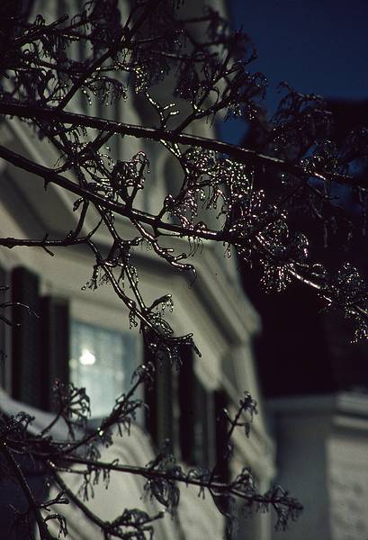 Feb. 28, 1995 - Merrimac, Massachusetts.<br />A sunny morning after an ice storm.