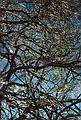 Feb. 28, 1995 - Merrimac, Massachusetts.<br />A sunny morning after an ice storm.