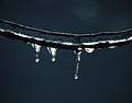 Feb. 28, 1995 - Merrimac, Massachusetts.<br />A sunny morning after an ice storm.
