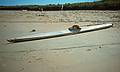 August 1995 - Parker River National Wildlife Refuge, Plum Island, Massachusetts.<br />A home build kayak.