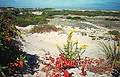 August 1995 - Parker River National Wildlife Refuge, Plum Island, Massachusetts.