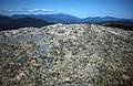 Sept. 2, 1995 - Mount Chocorua, New Hampshire.<br />Joyce's finished work of art.