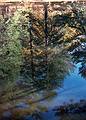 Oct. 14? 1995 - Maudslay State Park, Newburyport, Massachusetts.
